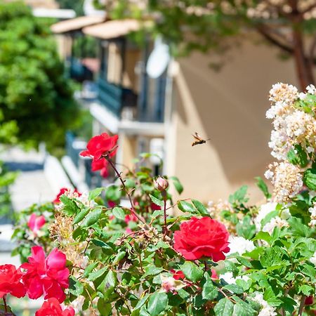 Apart Hotel Blumarin Agios Gordios  Luaran gambar